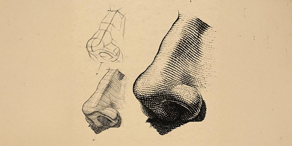 IMG-20251118-WA0019g 1000x500px