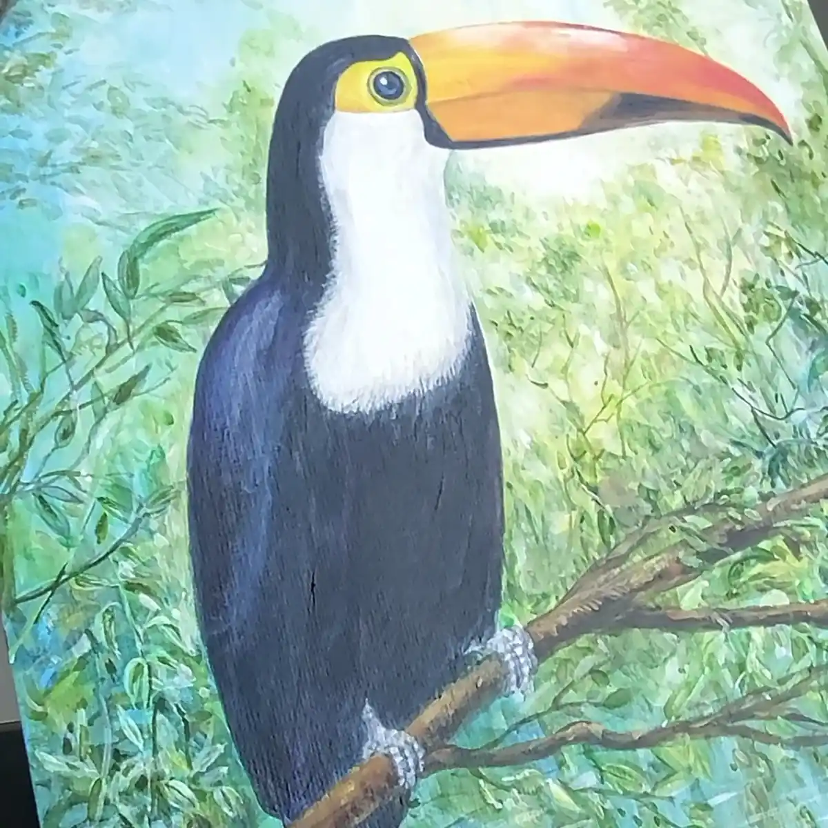 Bird toucan workshop