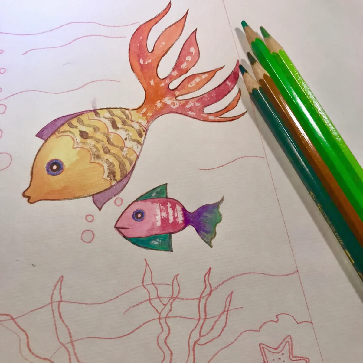 Fish and undersea workshop